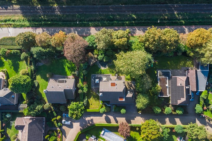 Foto 7 van de Mahonie 10