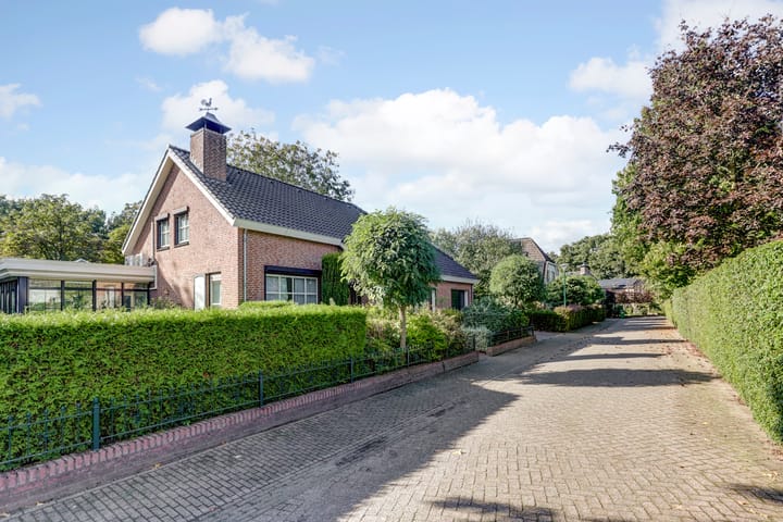 Foto 8 van de Mahonie 10