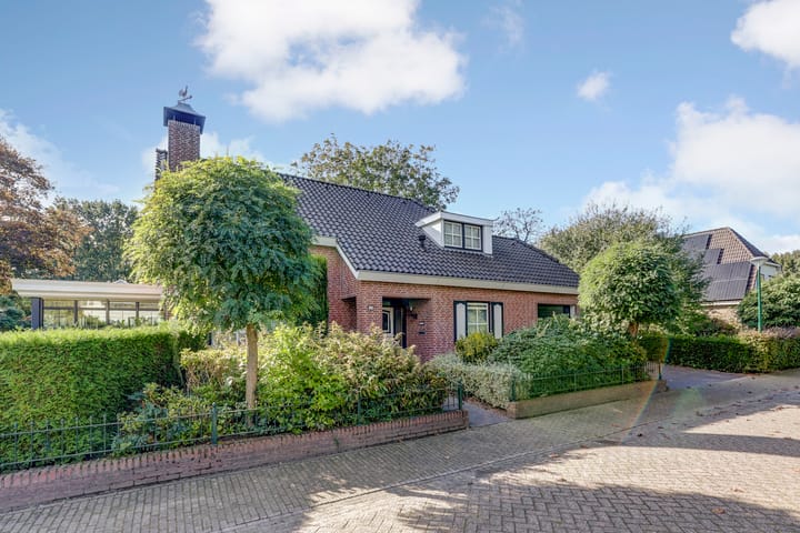 Foto 11 van de Mahonie 10