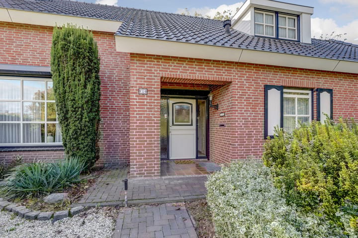 Foto 12 van de Mahonie 10