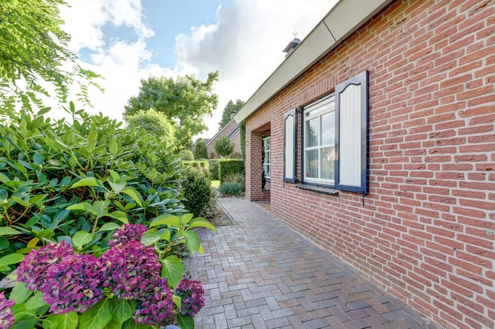 Foto 14 van de Mahonie 10