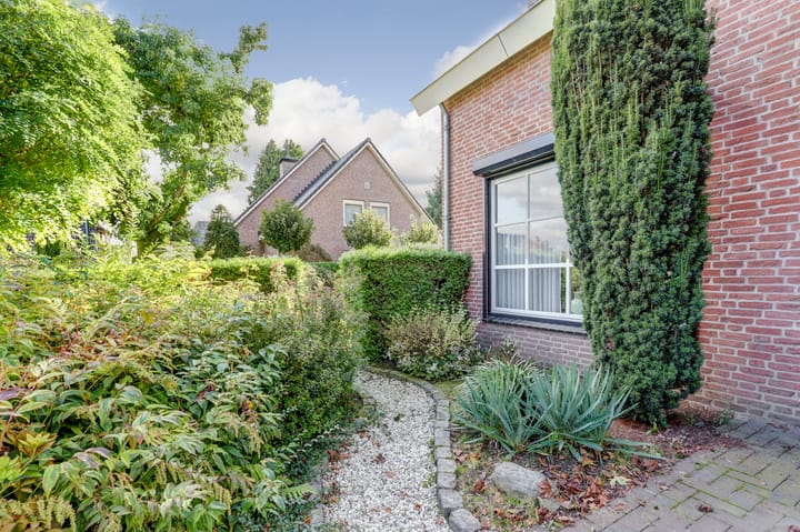 Foto 15 van de Mahonie 10