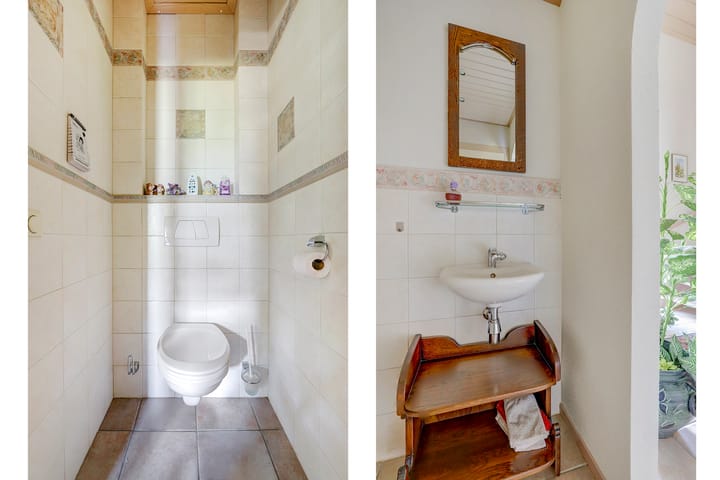 Foto 20 van de Mahonie 10