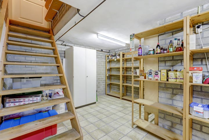 Foto 41 van de Mahonie 10