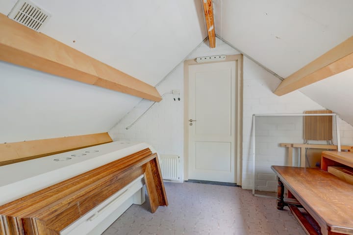 Foto 51 van de Mahonie 10