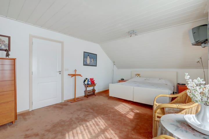 Foto 54 van de Mahonie 10