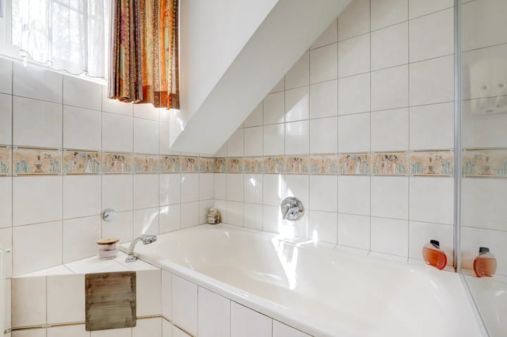 Foto 59 van de Mahonie 10