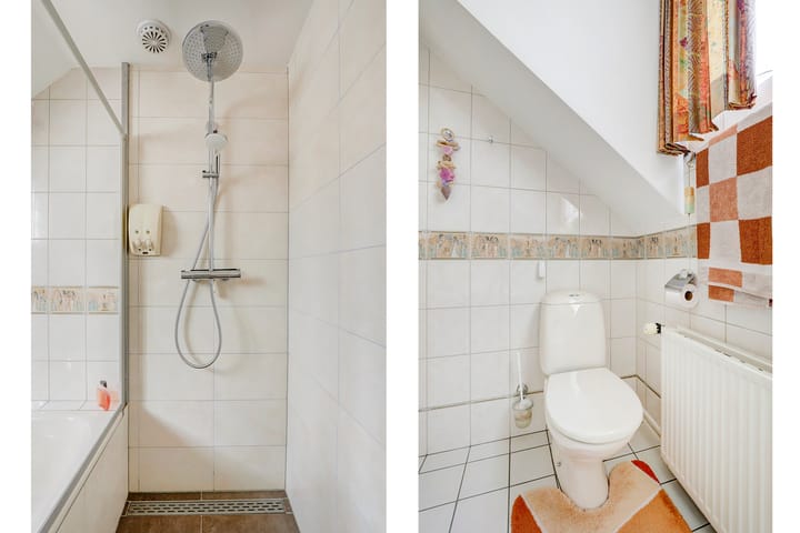 Foto 60 van de Mahonie 10