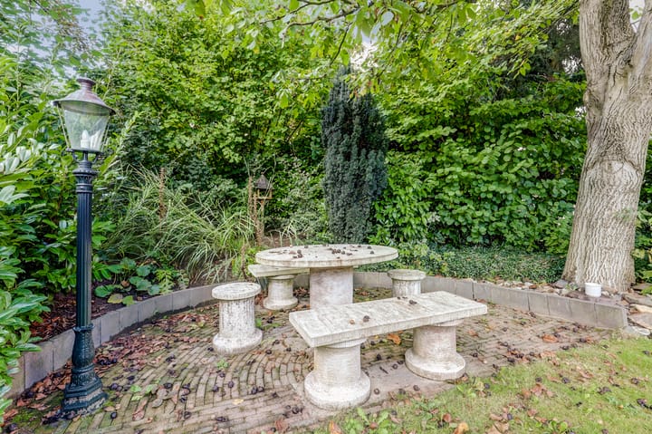 Foto 64 van de Mahonie 10