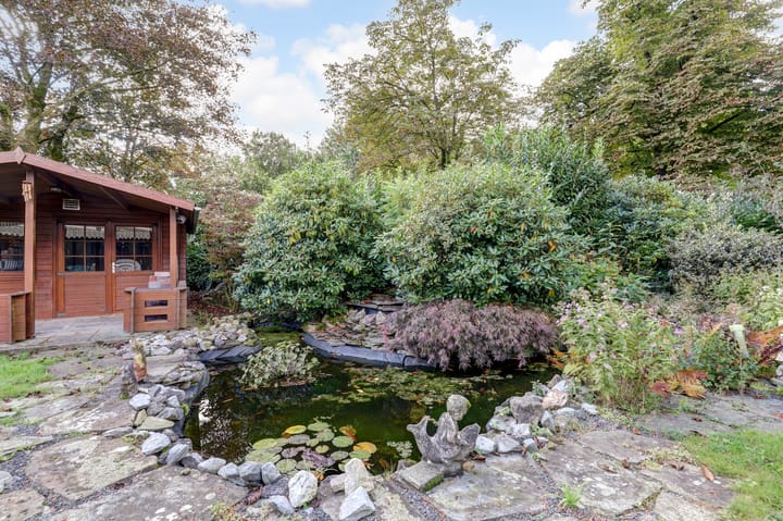 Foto 65 van de Mahonie 10