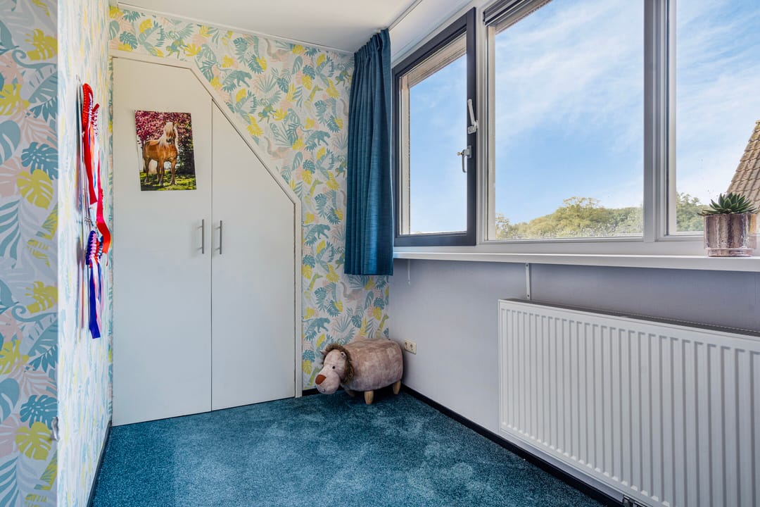 Photo 37 of Schoterlandseweg 18