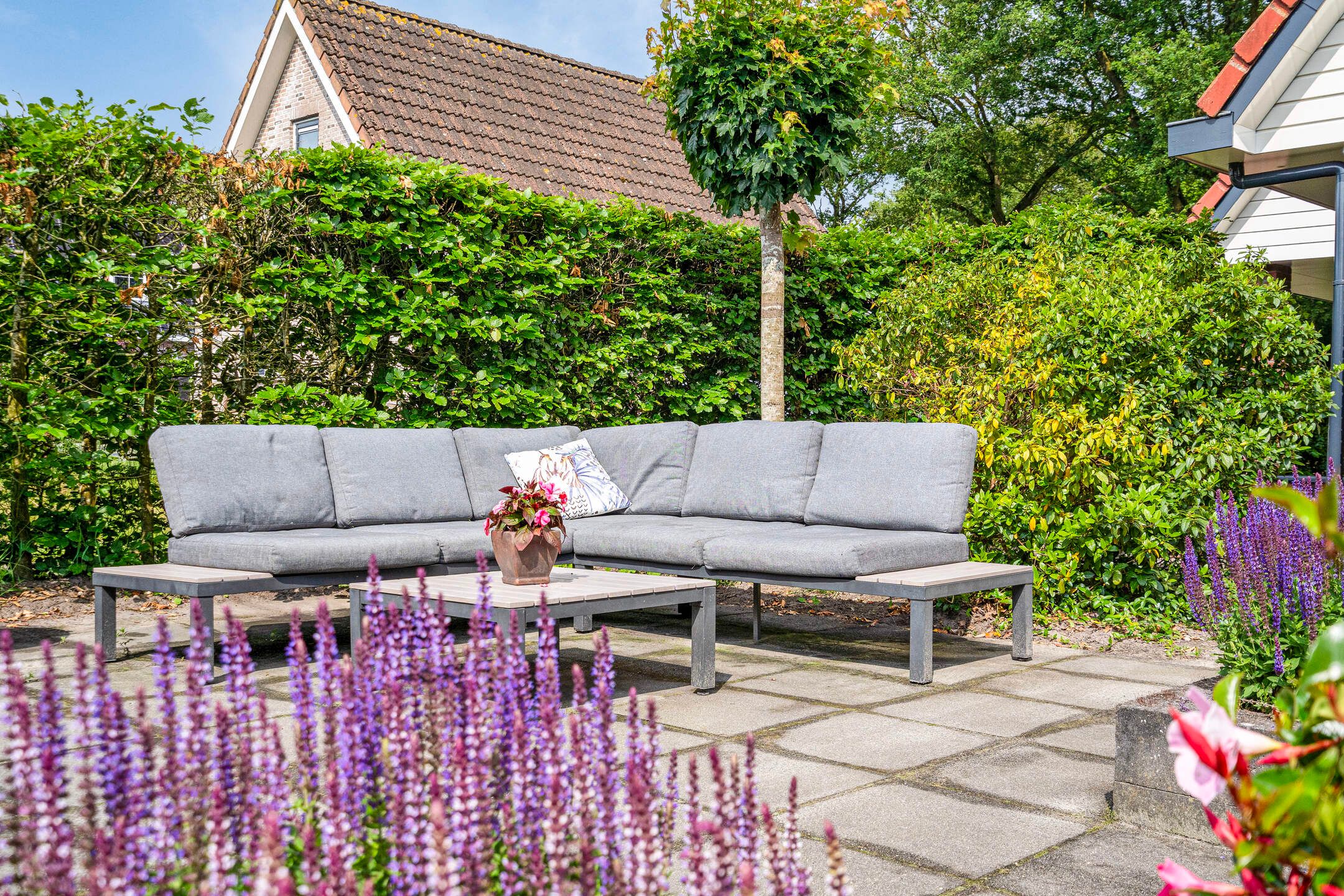 Photo 54 of Schoterlandseweg 18