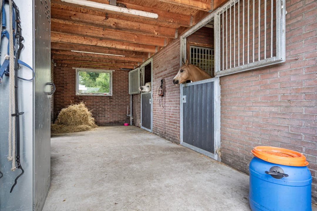 Photo 61 of Schoterlandseweg 18