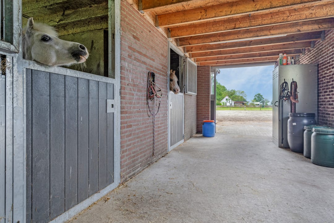 Photo 62 of Schoterlandseweg 18