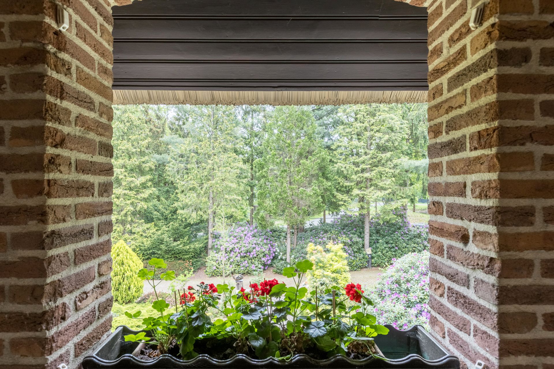 Foto 21 van Surinameweg 11