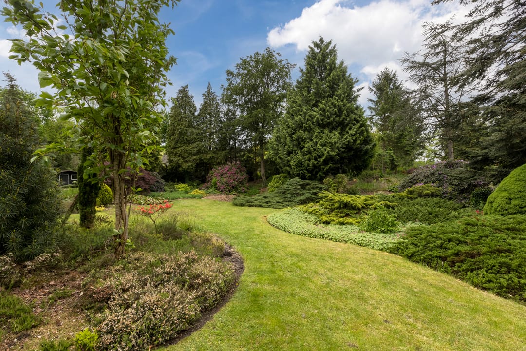 Foto 22 van Surinameweg 11