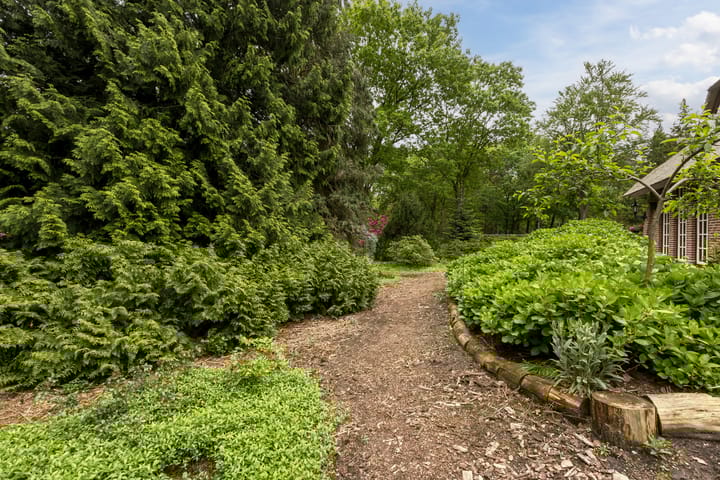 Photo 23 of Surinameweg 11