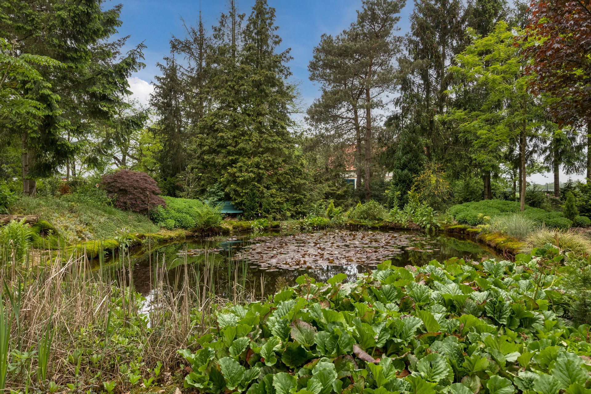 Foto 30 van Surinameweg 11