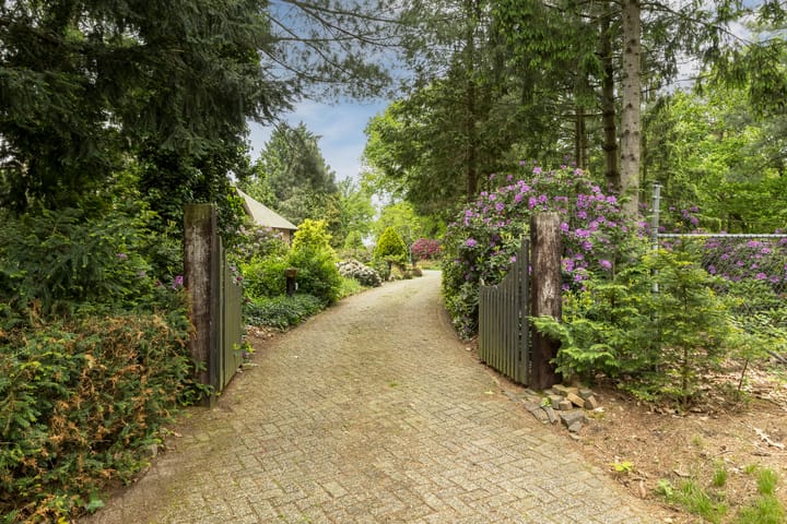 Foto 3 van Surinameweg 11