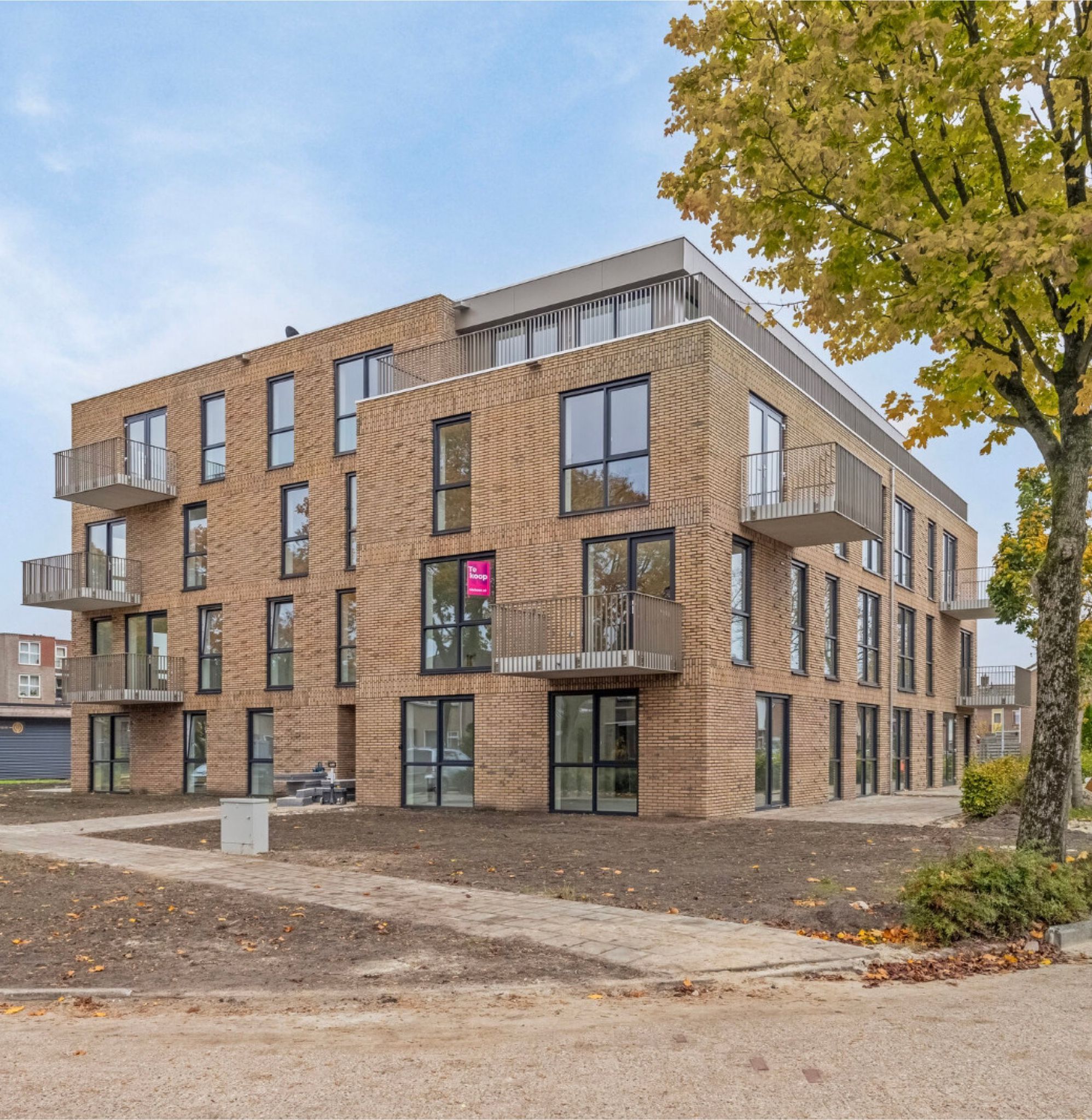 Parkhof Type D (Bouwnr. 6), Nieuw-Buinen, 9521GC, Drenthe, Nederland