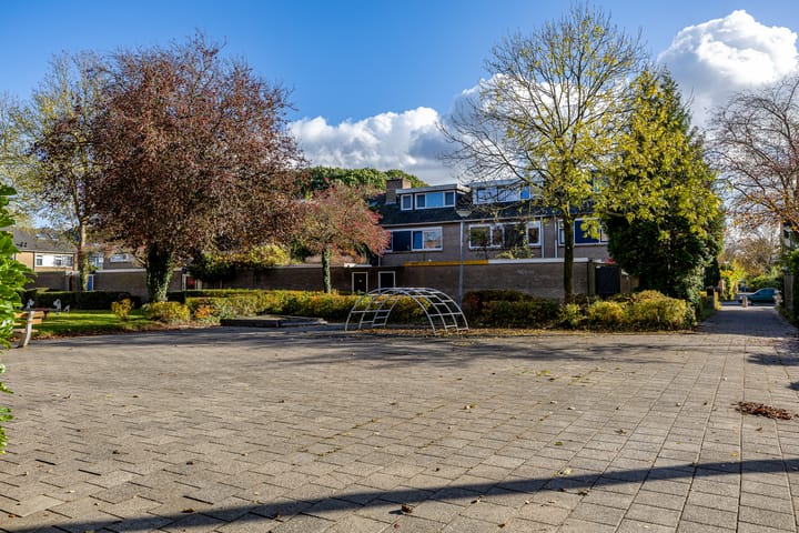 Foto 7 van Ranonkelstraat 52