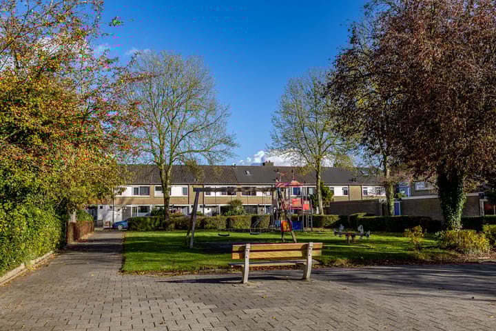 Foto 8 van Ranonkelstraat 52