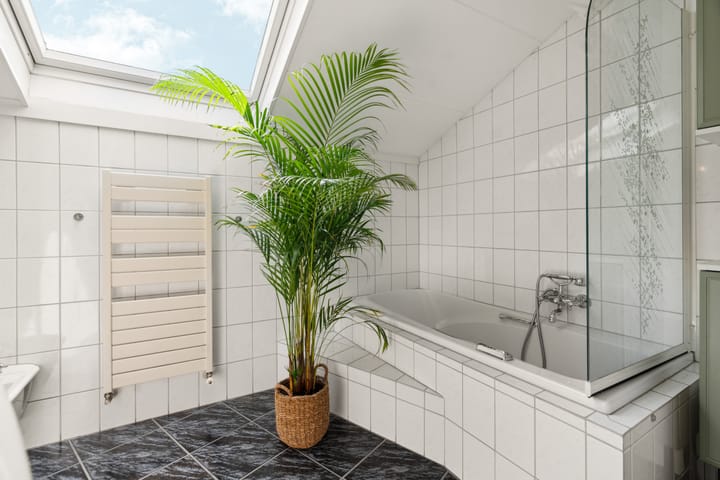 Foto 57 van Oudebaan 9