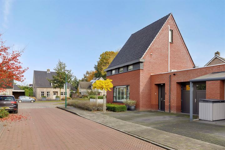 Bekijk foto 50 van Tillardhof 1