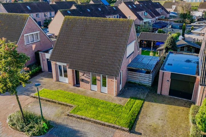 Foto 6 van Edelhert 3