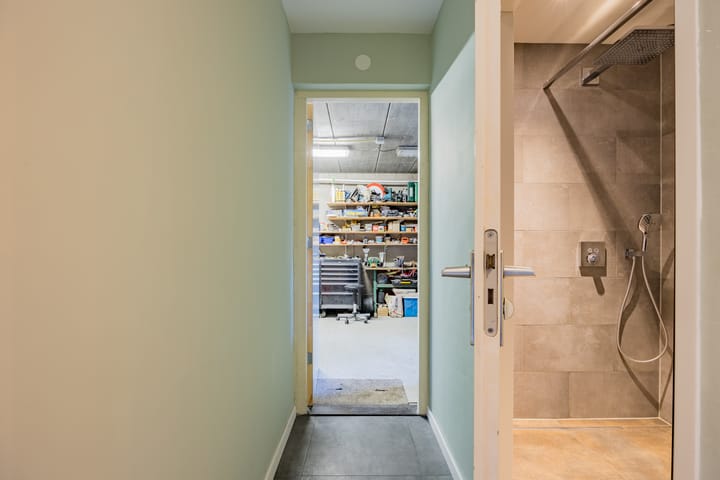 Foto 17 van Edelhert 3