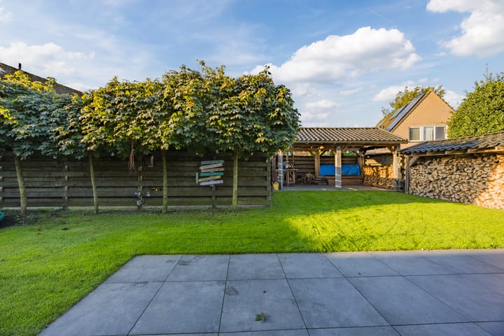 Foto 31 van Edelhert 3