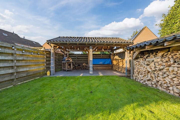 Foto 32 van Edelhert 3