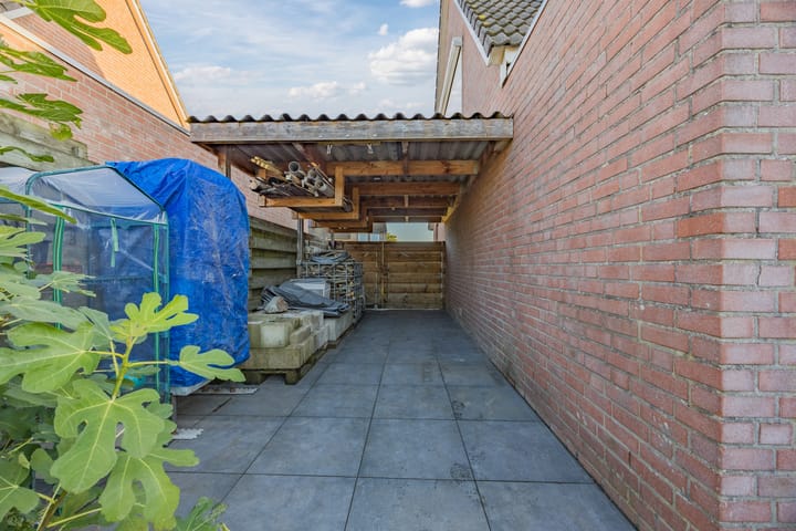 Foto 36 van Edelhert 3