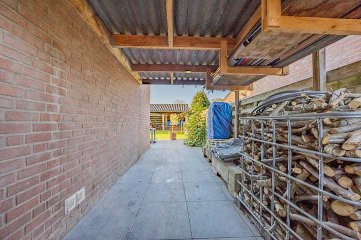 Foto 37 van Edelhert 3