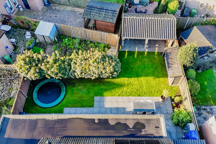 Foto 38 van Edelhert 3