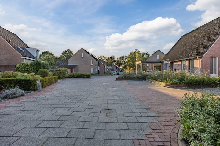 Foto 40 van Edelhert 3