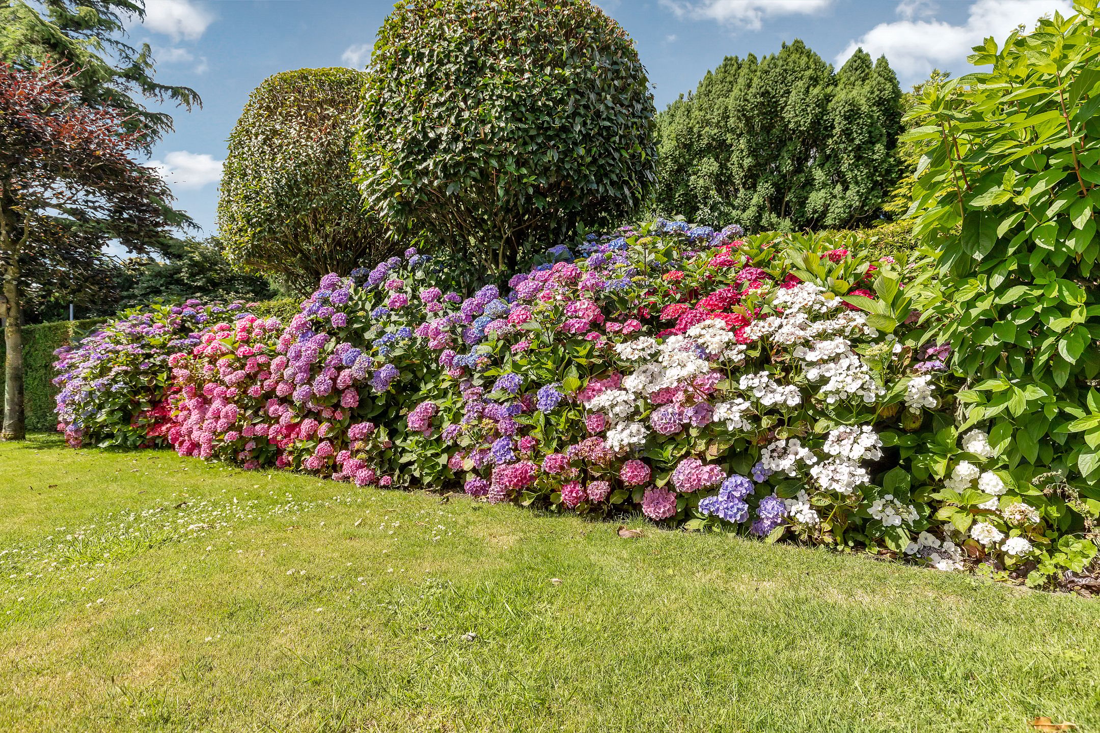 Foto 24 van Krommepad 14