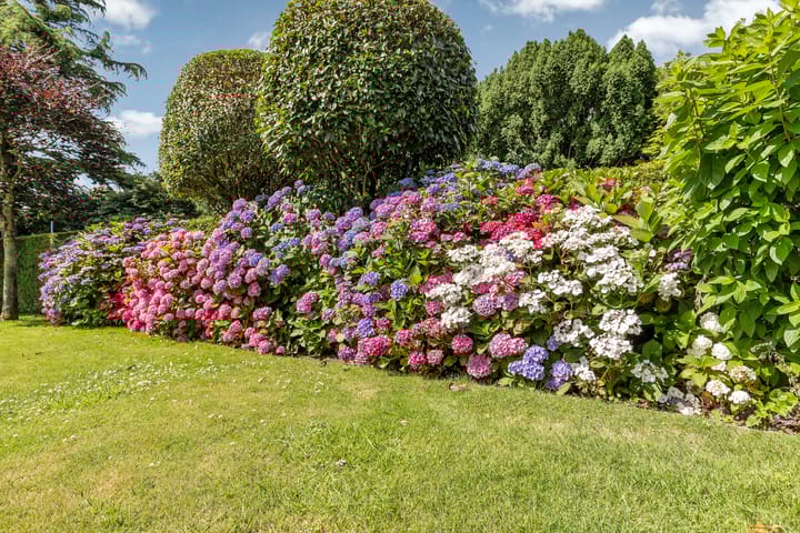 Foto 24 van Krommepad 14