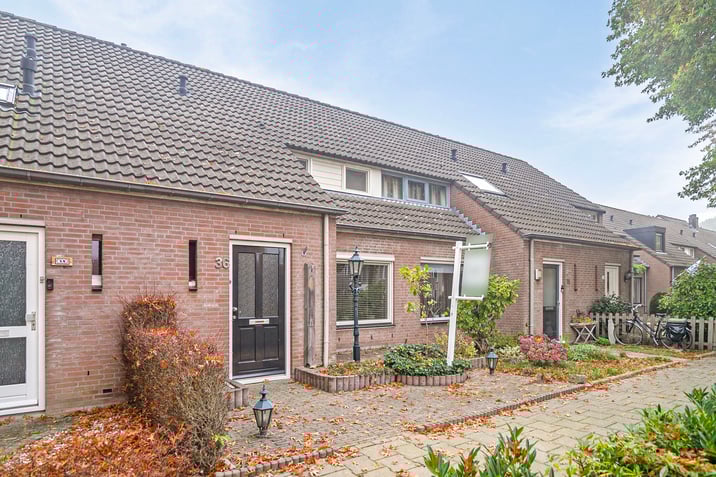 undefined main image