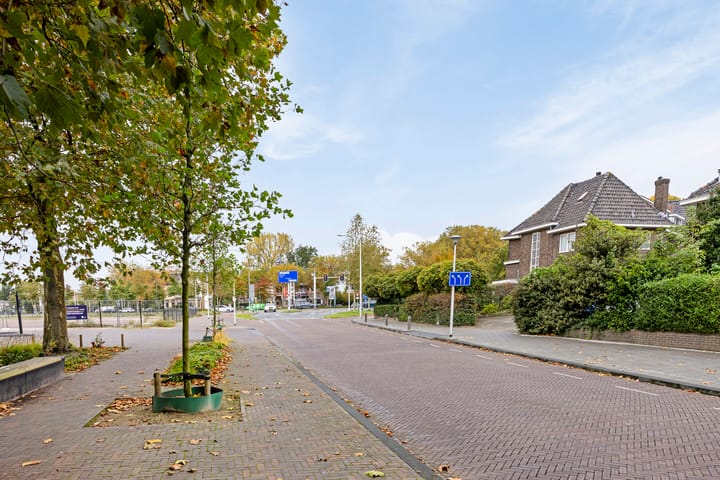 Foto 37 van Westerlaan 48