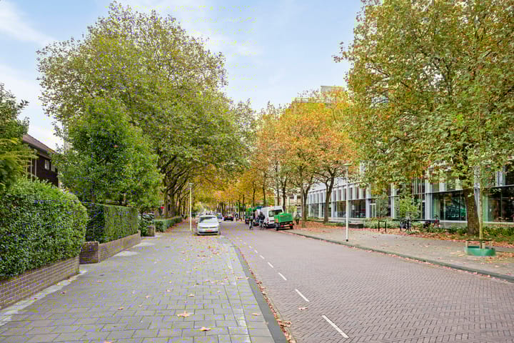 Foto 38 van Westerlaan 48