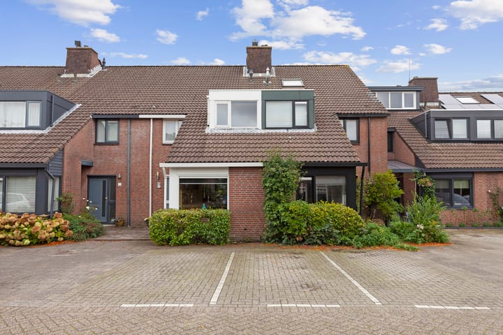 Foto 1 van Inkarnaatklaver 13