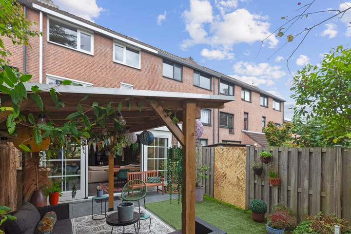 Foto 13 van Inkarnaatklaver 13