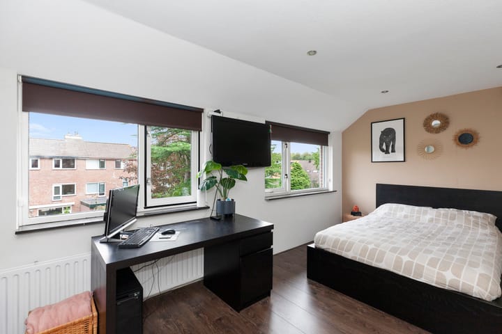 Foto 22 van Inkarnaatklaver 13