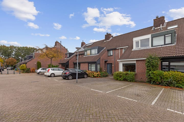 Foto 25 van Inkarnaatklaver 13