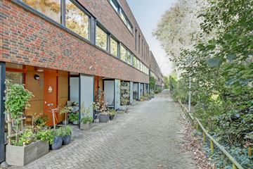 Willem Hedastraat thumbnail