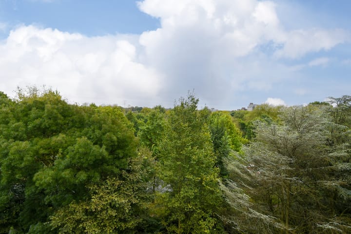 Photo 22 of Heeghtakker 64