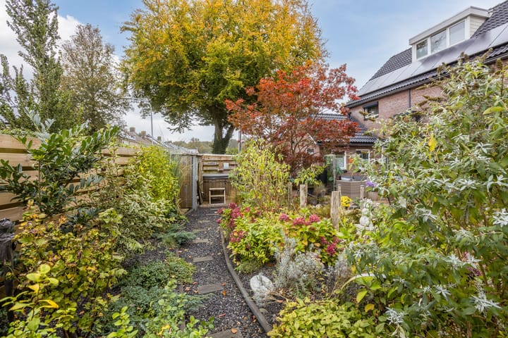 Foto 35 van Laaghalerstraat 28