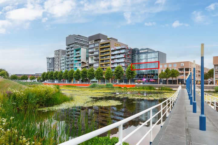 Bekijk foto 4 van Zilverparkkade 132