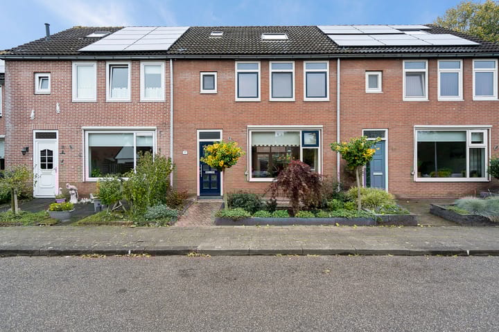 undefined main image
